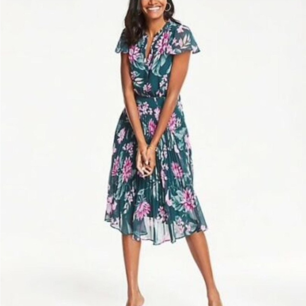 Ann Taylor Fauna Floral Pleated Skirt Dress